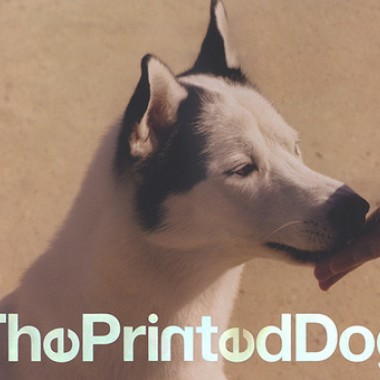 超一流ファッション写真家が撮る犬雑誌『The Printed Dog』【代官山蔦屋書店オススメBOOK】