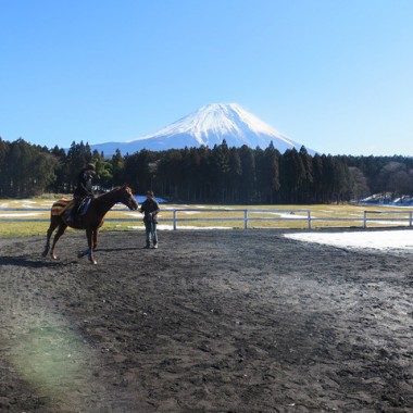 澄み渡る富士の麓で、サラブレッドに乗る―朝霧高原「エクインホリック」【富士の旅vol.2】