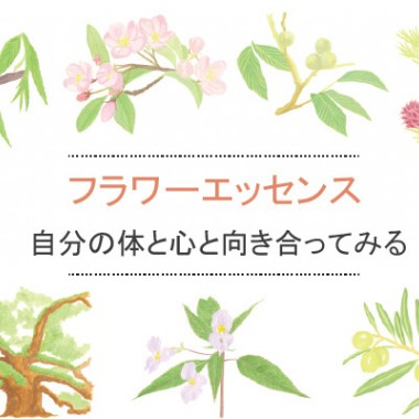 1年のはじまりに、フラワーエッセンスで自分の体と心と向き合ってみる。--vol.1【フラワーエッセンス】