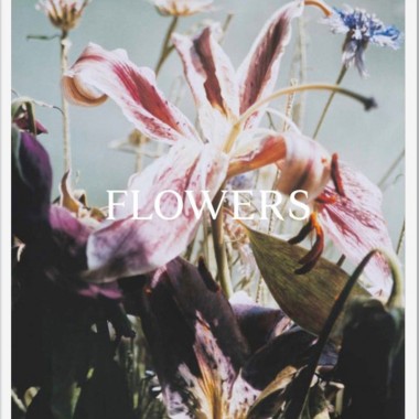 花を被写体にしたリナ・シェイニウス最新写真集『Flowers』【ShelfオススメBOOK】