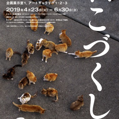 岩合光昭のねこ写真展が川崎市市民ミュージアムで開催! 島の猫シリーズなど約200点が一堂に