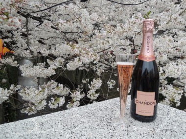 ロゼスパークリング片手に桜を愛でる「お花見 CHANDON 目黒川」今年も開催