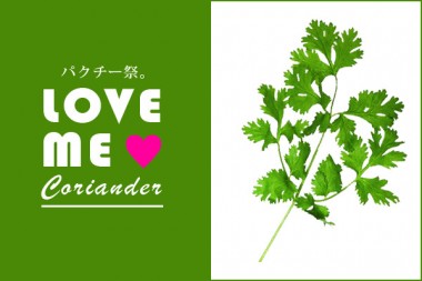 パクチー祭、原宿で開催！カレー、かき氷、モヒート、刺繍？までパクチー尽くし