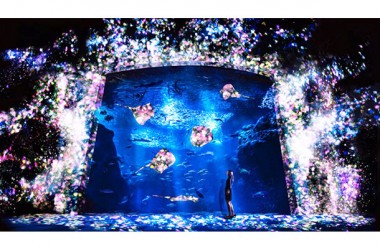 水族館で花咲き誇る…チームラボが江ノ島の夜を彩る「アクアリウム」開催