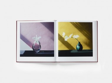 息を飲むほど美しく静寂な写真家ロバート・メープルソープの花【ShelfオススメBOOK】