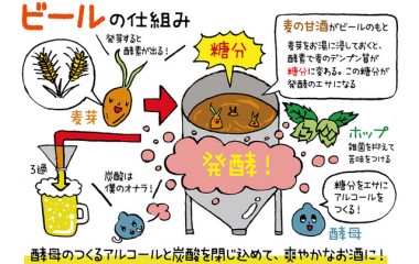 【発酵めがね：クラフトビール】小倉ヒラクさんに訊くクラフトビールが美味しいひみつ！クラフトビールはセクシー？