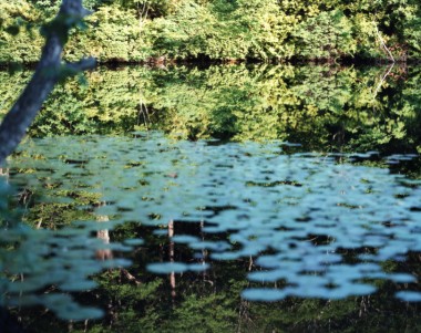 写真家・鈴木理策の展覧会「Water Mirror」、東京・渋谷のCASE TOKYOにて開催