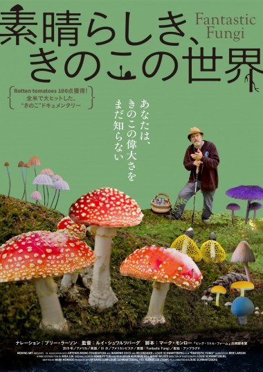 きのこの偉大さがわかるドキュメンタリー映画「素晴らしき、きのこの世界」が9月24日より全国公開