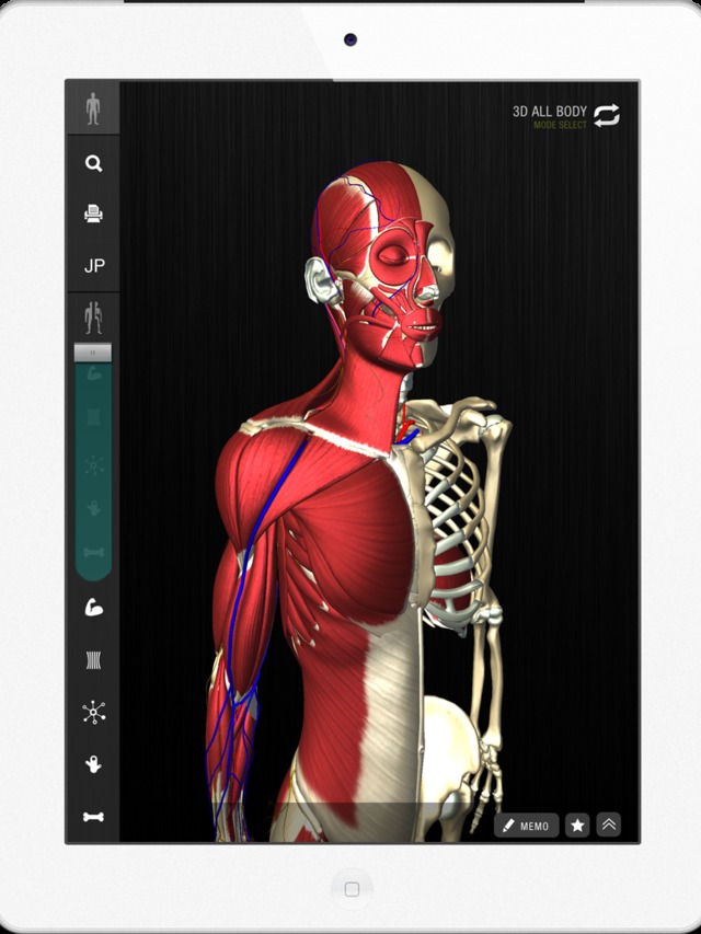 生きた人間の動き・形態を再現した3D人体解剖アプリ「teamLabBody」