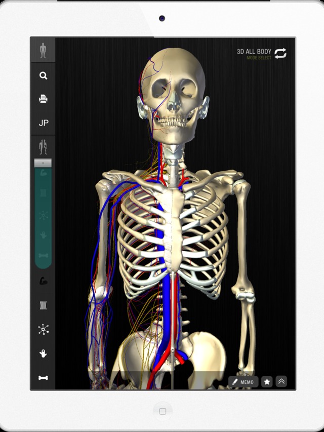 「teamLabBody」忠実に再現された3D人体模型