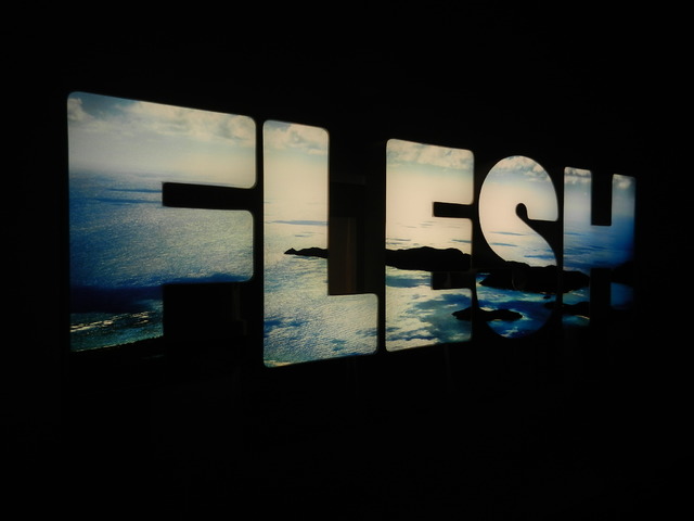 ダグ・エイケン（Doug Aitken)「FLESH」
