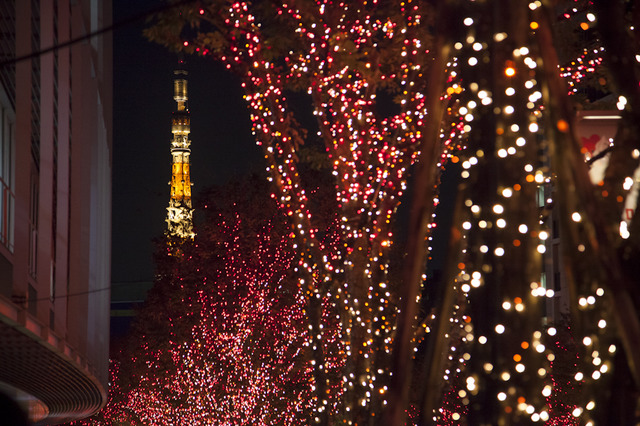 六本木ヒルズけやき坂のクリスマスイルミネーション