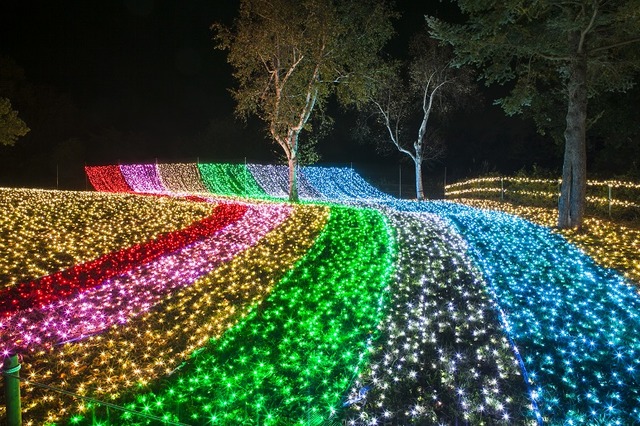 関東最大級のイルミネーションイベント、「さがみ湖イルミリオン」がオープン