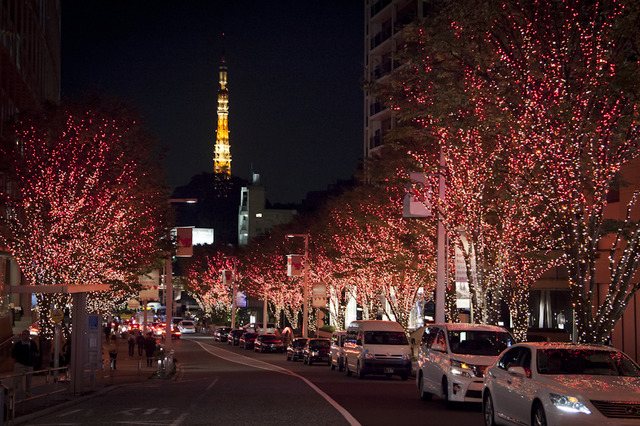 六本木ヒルズけやき坂のクリスマスイルミネーション