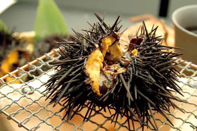 礼文島で獲れた生ウニをその場で味わうことができる