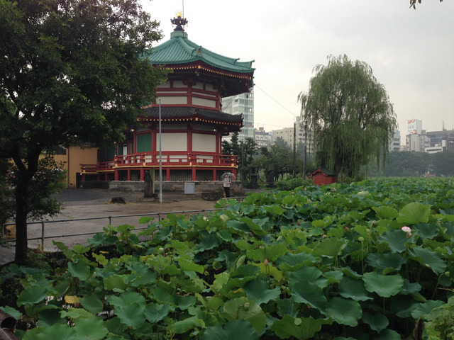 寛永寺不忍池辯天堂