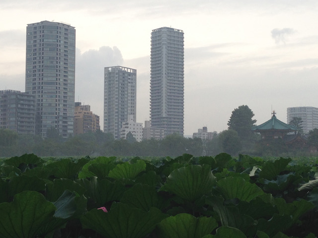 寛永寺