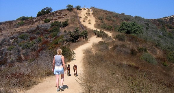 ラニヨンキャニオンパーク(Runyon Canyon Park)