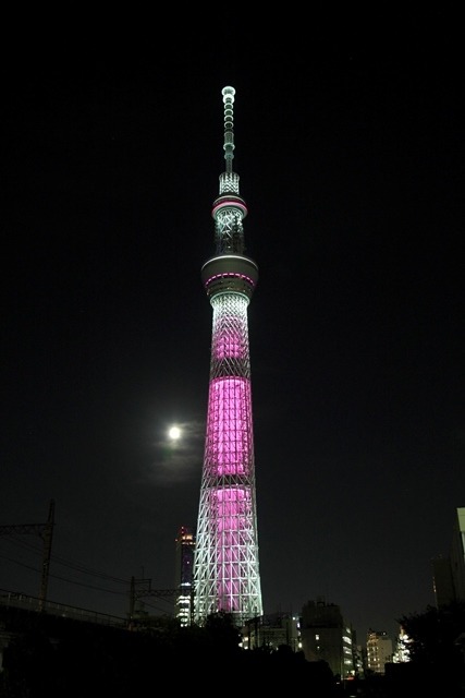 「グローバル ランドマーク イルミネーション」東京スカイツリー