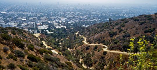 ラニヨンキャニオンパーク(Runyon Canyon Park)