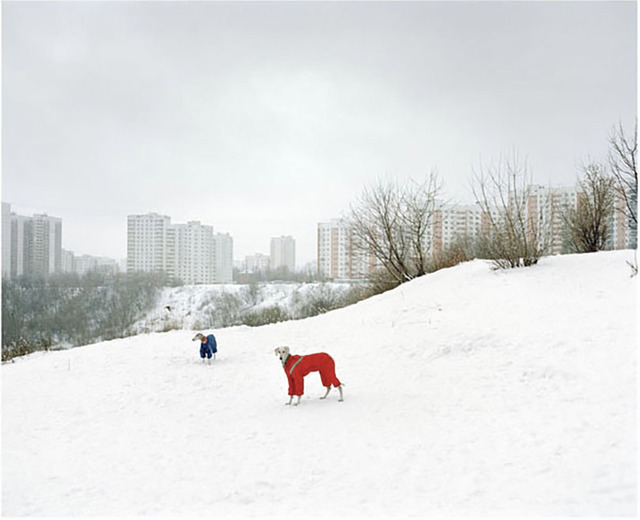 The edge, Yuzhnoye Tushino, Moscow, 2011