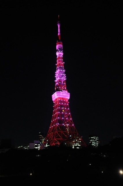 ピンクにライトアップされた東京タワー