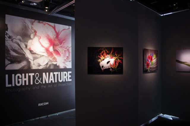 特別展覧会「Light & Nature ～Photography and the Art of Projection」