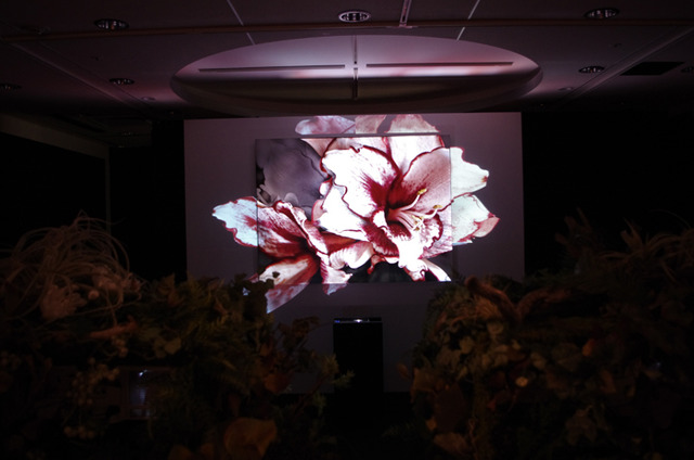 特別展覧会「Light & Nature ～Photography and the Art of Projection」