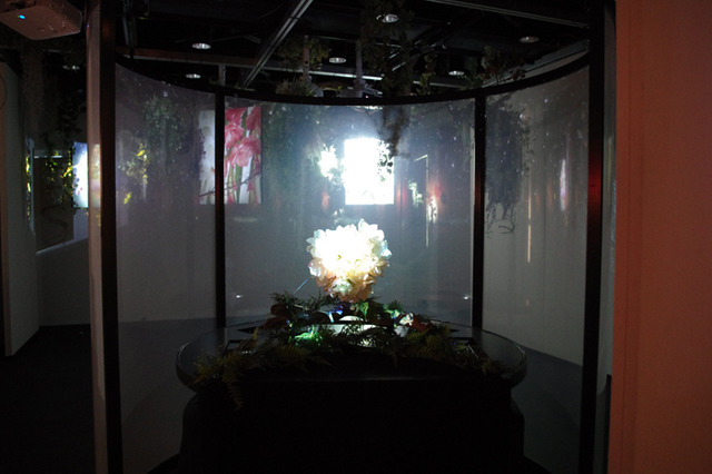 特別展覧会「Light & Nature ～Photography and the Art of Projection」