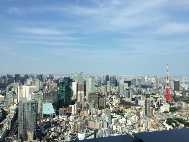 東京タワーとスカイツリーが同時に見られる景色