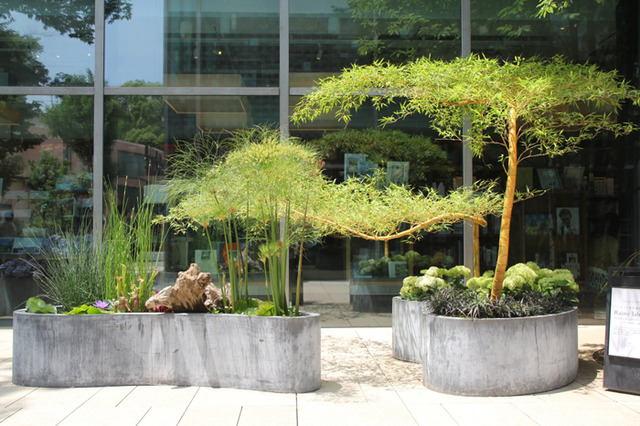 「フーガ」が代官山 蔦屋書店にて「アジサイと水生植物のある風景『Rainy labyrinth』」と題した展示を開催