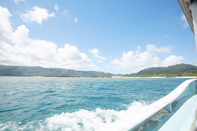 川平湾のグラスボートでなら、海中を泳ぐいきものたちに出合える