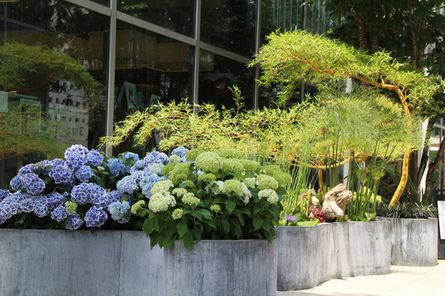 「フーガ」が代官山 蔦屋書店にて「アジサイと水生植物のある風景『Rainy labyrinth』」と題した展示を開催