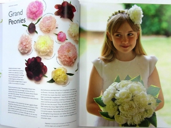 『PAULA PRYKE WEDDING FLOWERS』PAULA PRYKE