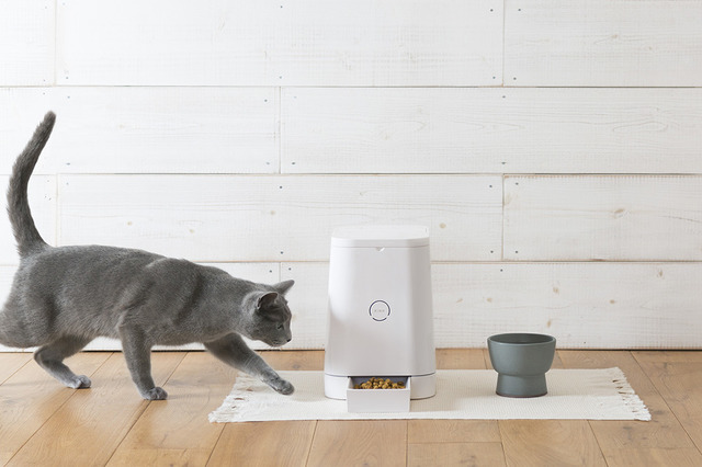 RINN Inc.が新作猫用水飲み器「Cat Water Bowl」の予約注文受付を開始