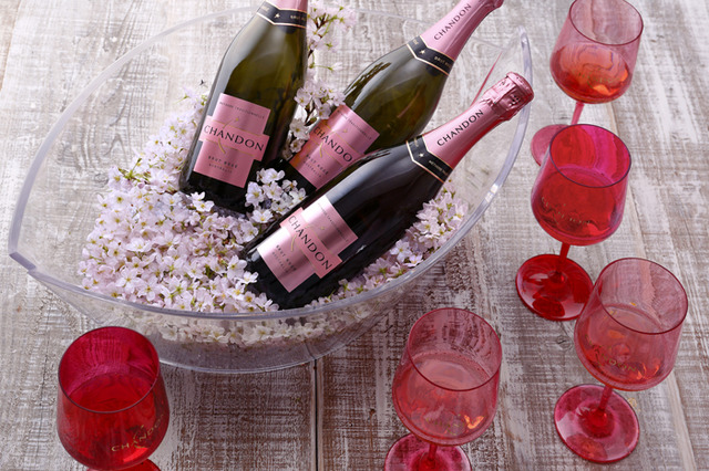 MHDモエヘネシーディアジオが桜の名所を「CHANDON ロゼ」を片手にめぐる「お花見 CHANDON 2016」を開催