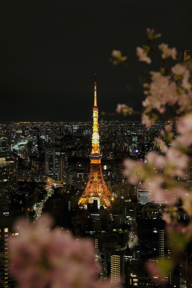 アンダーズ東京のルーフトップバーで、桜が楽しめる「お花見ガーデン」が開催