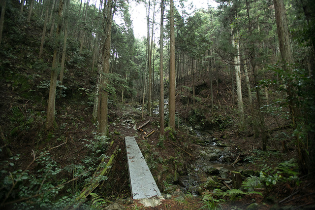 谷をはさんで所有者が変わったりするので、山守はきちんと管理をしなくてはならない