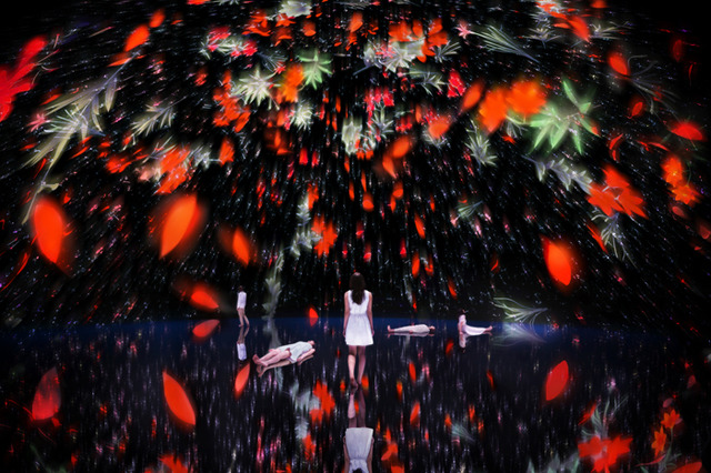 「Floating in the Falling Universe of Flowers」