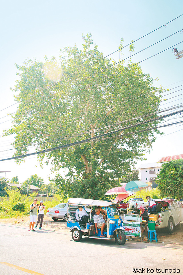 角田明子の写真展「REGENBOGEN~a walk around Chiang Mai」がGALLERY MUVEILにて開催