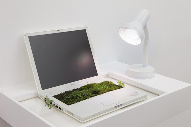 IBookgarden ｜2014ラップトップコンピュータ、水、植物、土、棚、卓上ランプ、昼光色の電球｜42 x 65 x 44 cmLaptop, water, plants, earth, shelf, desktop lamp with daylight bulb ｜42 x 65 x 44 cm