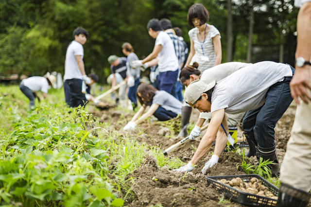 青山ファーマーズマーケットの新拠点である石川県小松市のTAKIGAHARA FARMにて「滝ヶ原フェスティバル －クラフト ＆ クラフトフード－」が初開催