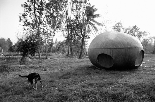 《ナブア森の犬と宇宙船、2008年》2013年 発色現像方式印画 東京都写真美術館蔵