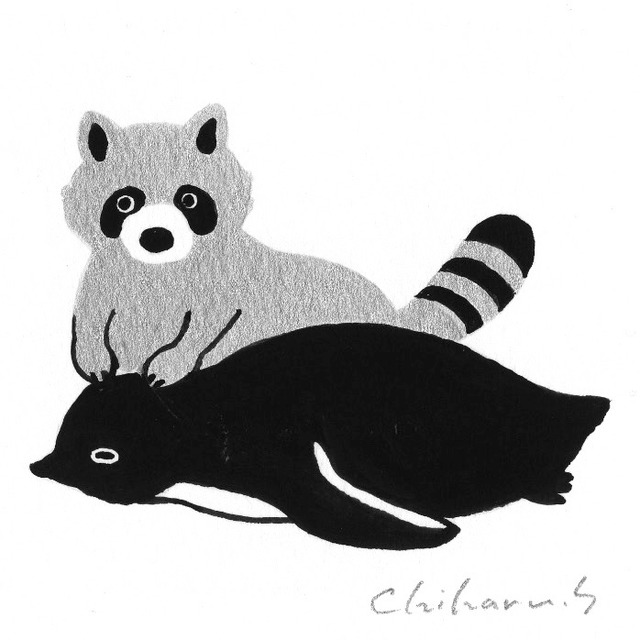 アライグマとペンギン