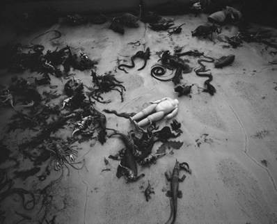 Nobuyoshi Araki, Tombeau Tokyo, 2016, gelatin silver print