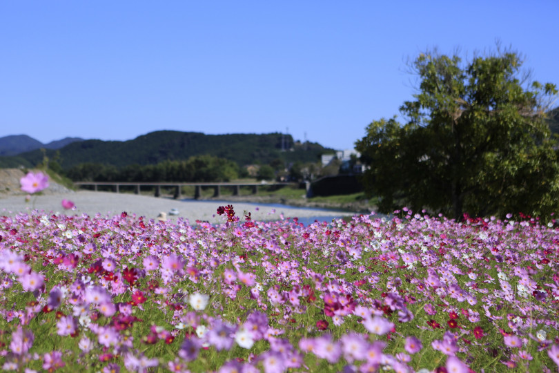 「スノーピークおち仁淀川キャンプフィールド」と「スノーピークおち仁淀川」が4月22日、高知県・越知町にオープン予定