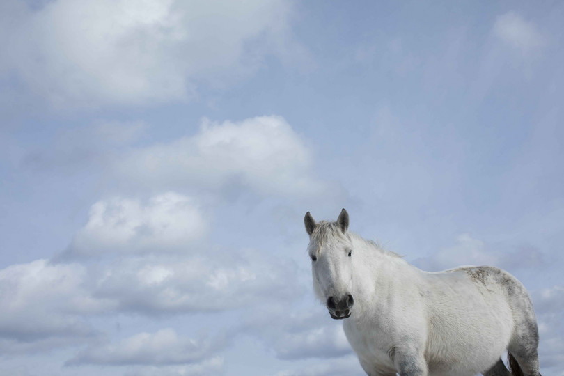 串田明緒 写真展「Talking with the Horses -naked winter-」