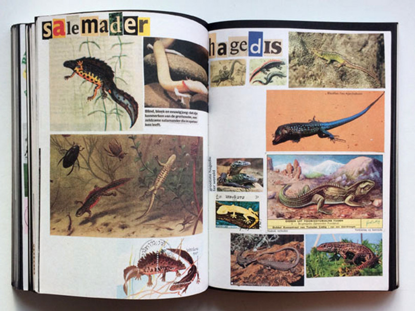 『Animal Books For / Dierenboeken Voor Jaap Zeno Anna Julian Luca』Lous Martens