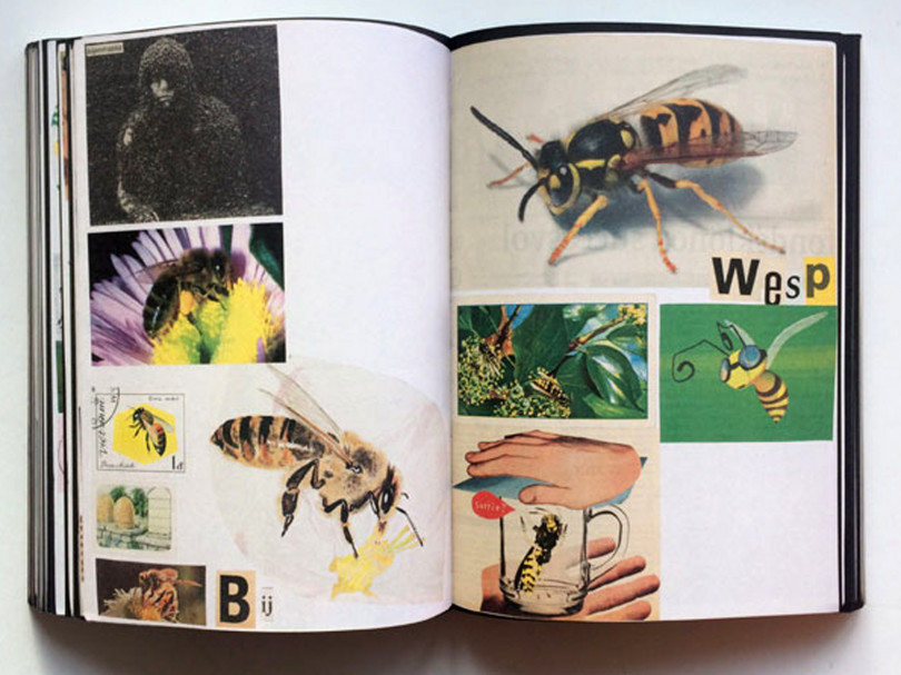 『Animal Books For / Dierenboeken Voor Jaap Zeno Anna Julian Luca』Lous Martens