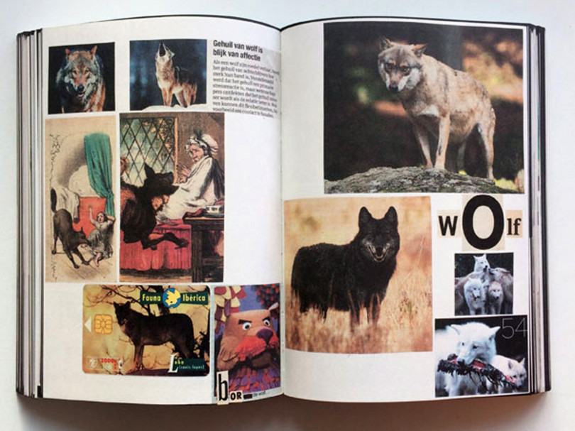 『Animal Books For / Dierenboeken Voor Jaap Zeno Anna Julian Luca』Lous Martens